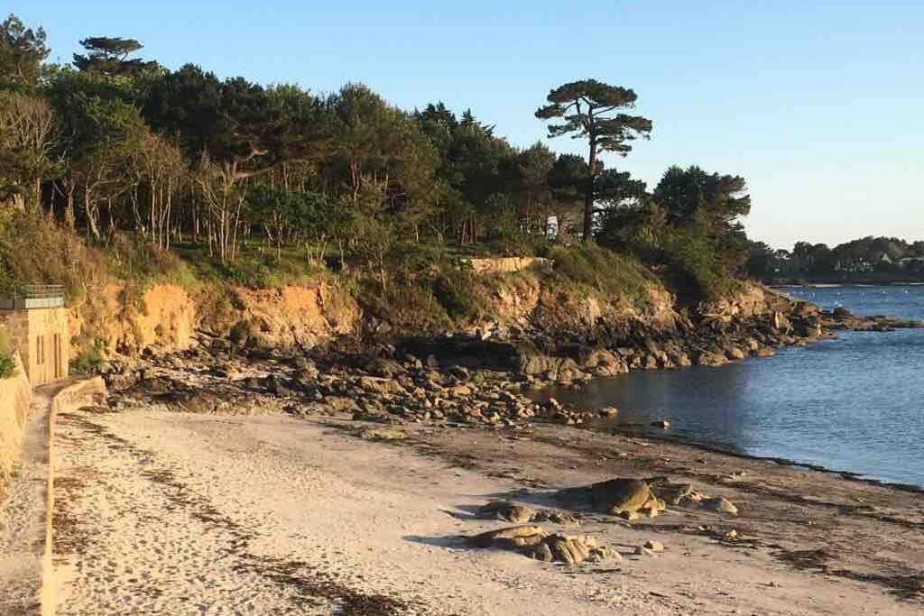 L'Olivier Du Cabellou, A 900 M Des Plages Concarneau Exterior photo